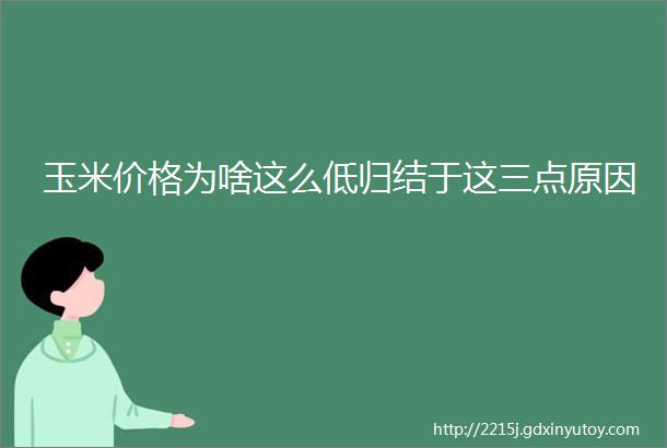 玉米价格为啥这么低归结于这三点原因