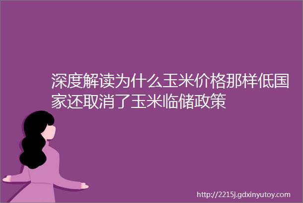 深度解读为什么玉米价格那样低国家还取消了玉米临储政策