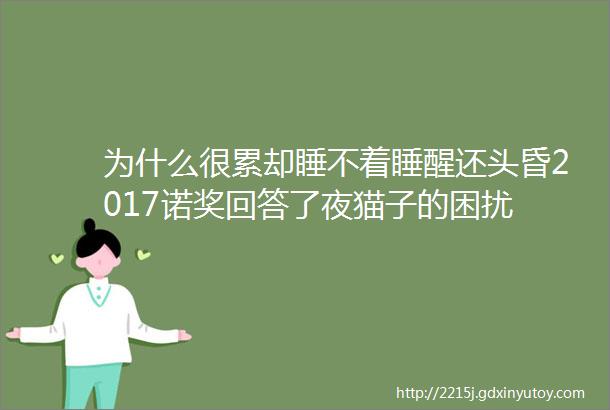 为什么很累却睡不着睡醒还头昏2017诺奖回答了夜猫子的困扰