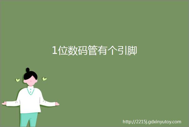 1位数码管有个引脚