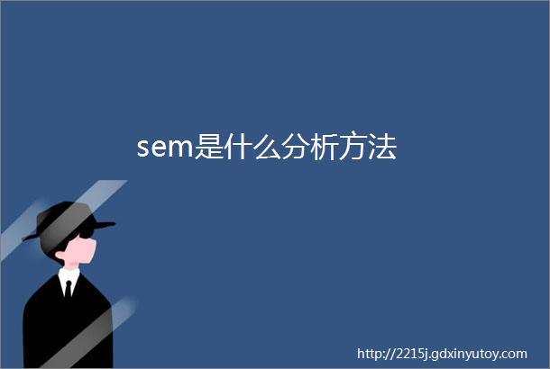 sem是什么分析方法