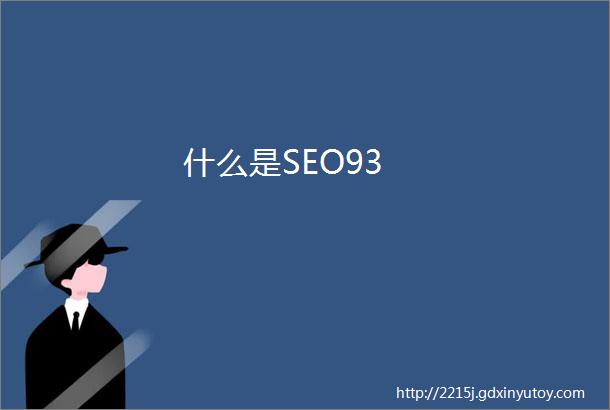 什么是SEO93